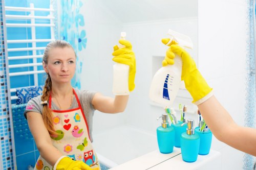 Domestic cleaning service for a modern Canary Wharf apartment