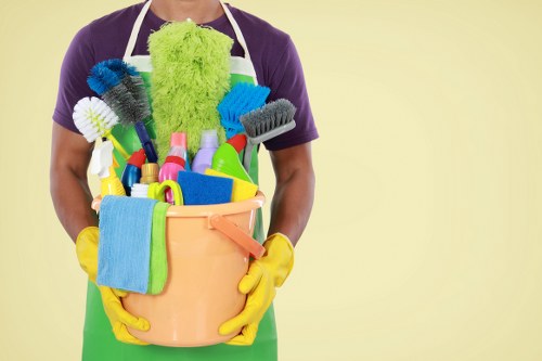 Professional cleaner in a Canary Wharf apartment building