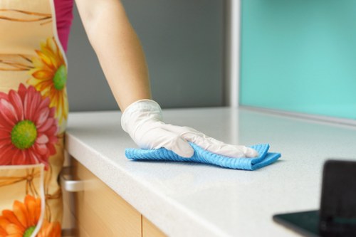 Flexible home cleaning support for apartments around Canary Wharf