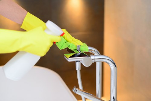 Professional oven cleaning in Canary Wharf with a spotless kitchen appliance