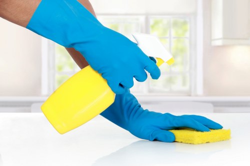 Inspection and stain treatment for a wool rug
