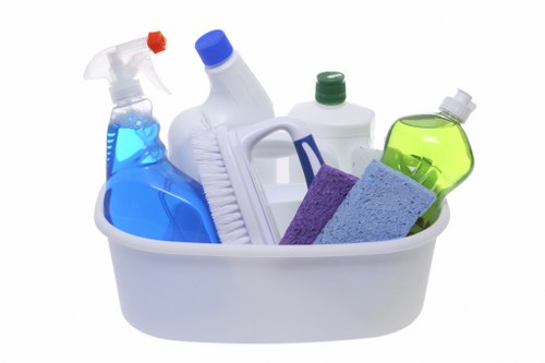 Professional carpet cleaning service for Canary Wharf apartments and homes