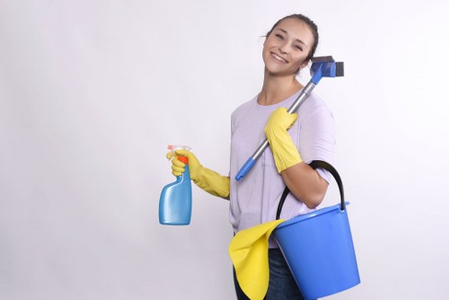 Professional oven cleaning process with careful handling of components