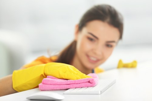 Detailed kitchen and appliance cleaning for a move-out in Canary Wharf