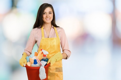 Deep carpet cleaning process for homes and commercial spaces in Canary Wharf