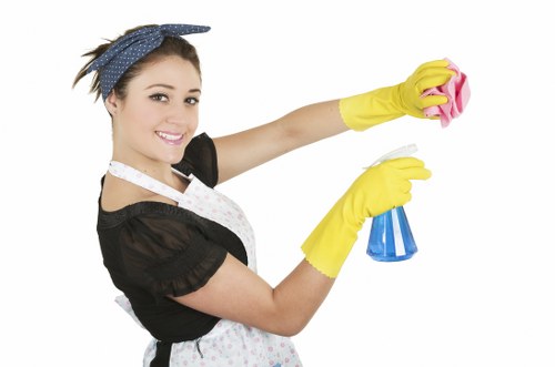 Kitchen and bathroom home cleaning in a Canary Wharf property