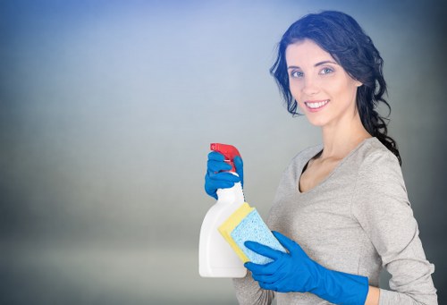 Domestic cleaner maintaining a modern Canary Wharf apartment